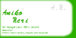 aniko meri business card