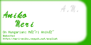 aniko meri business card